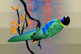 RingNeckParrot2