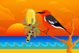 ScarletSunset