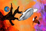 SeaEagle And Brahminy Kite64