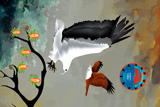 SeaEagle And Brahminy Kite