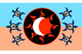 SolsticeTurtles