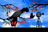 Southern Cross Firetails 3