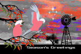 SouthernCrossGalahs2
