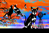 SouthernCrossKelpie