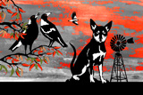 SouthernCrossKelpie2