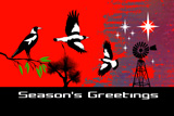 SouthernCrossMagpies2