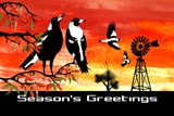 SouthernCrossMagpies4