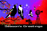 SouthernCrossMagpies7