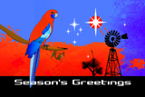 Southern Cross Rosella 3