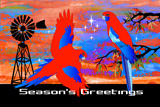 Southern Cross Rosellas 6