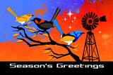 Southern Cross Wrens 2