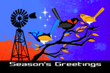 Southern Cross Wrens 8