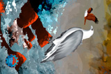 SpearTip Reef 3