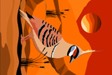 SpinifexPidgeon2