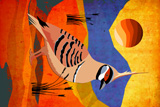 SpinifexPidgeon5