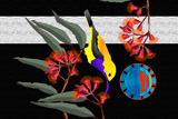 SunBird