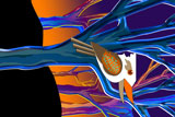 SunriseOverBlueGums3