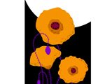 TallPoppyOrange2