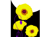 TallPoppyYellow
