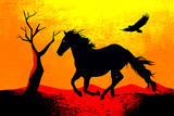 TheBlackStumpBrumby