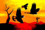 TheBlackStumpCockatoos