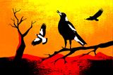 TheBlackStumpMagpies