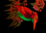 The Red Kingfisher