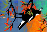 TheSingingMagpie1A