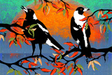 TheSingingMagpie1B