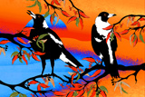 The Singing Magpie 3B