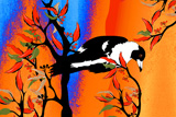 The Singing Magpies Mate 3