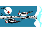 Two Great Spotted Woodpeckers.