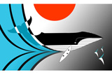 Whale2