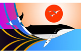 Whale8