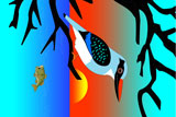 WhiteThroatedKingFisher2