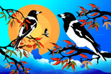 Wollumbin ButcherBirds