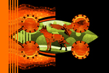 Year Of Dog Kelpie 30