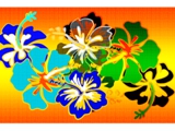 BlueHibiscus