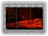Winter Solstice 2
