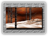 Winter Solstice 3